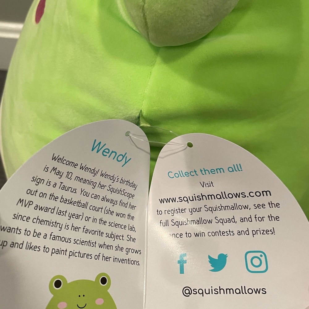 Squishmallow Wendy Frog 16” - Picture 2 of 3